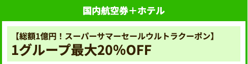 国内航空券+ホテル(最大20%OFF)