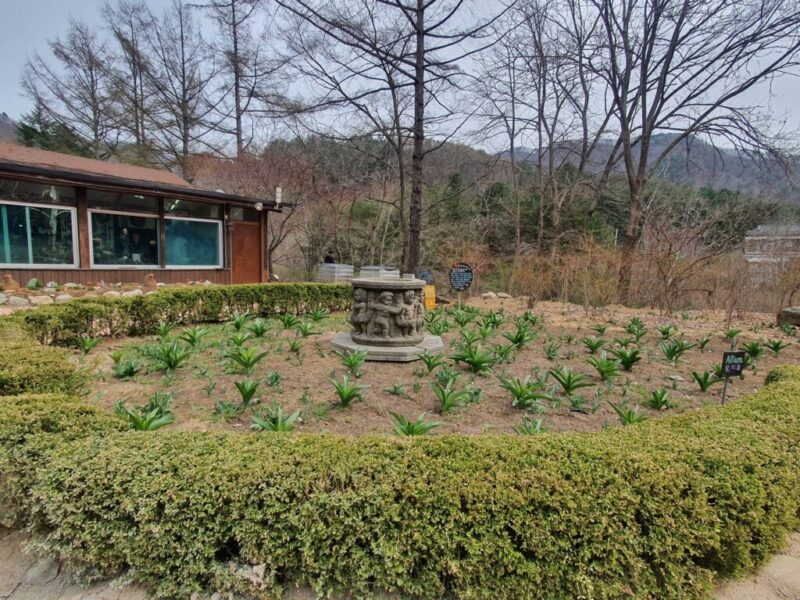 韓国・平昌にあるヒーリングスポット「ハーブナラ農園」へ