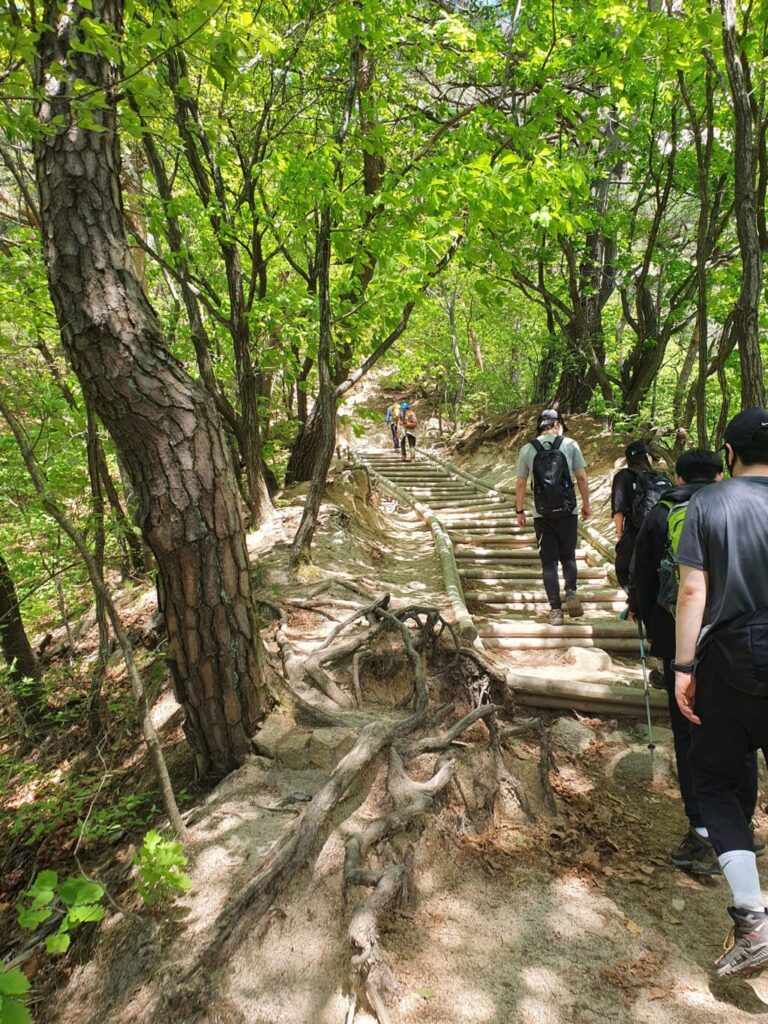 韓国・ソウル登山で「道峰山（トボンサン）」に挑戦だ〜！