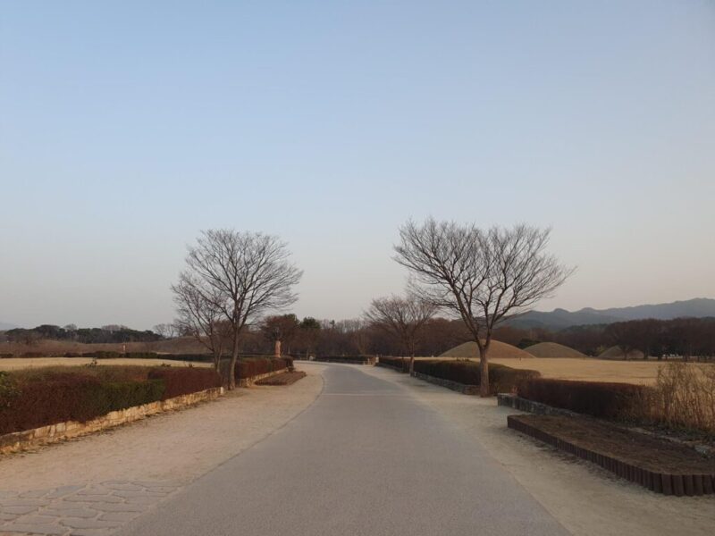韓国・慶州市内にある東洋最古の展望台「瞻星台（チョムソンデ）」へ