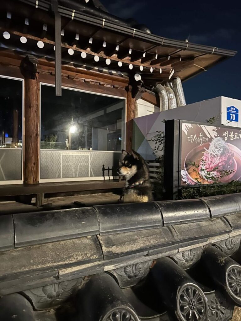 韓国・全州韓屋村内の【ラハンホテル】宿泊レビュー(4つ星おすすめホテル)