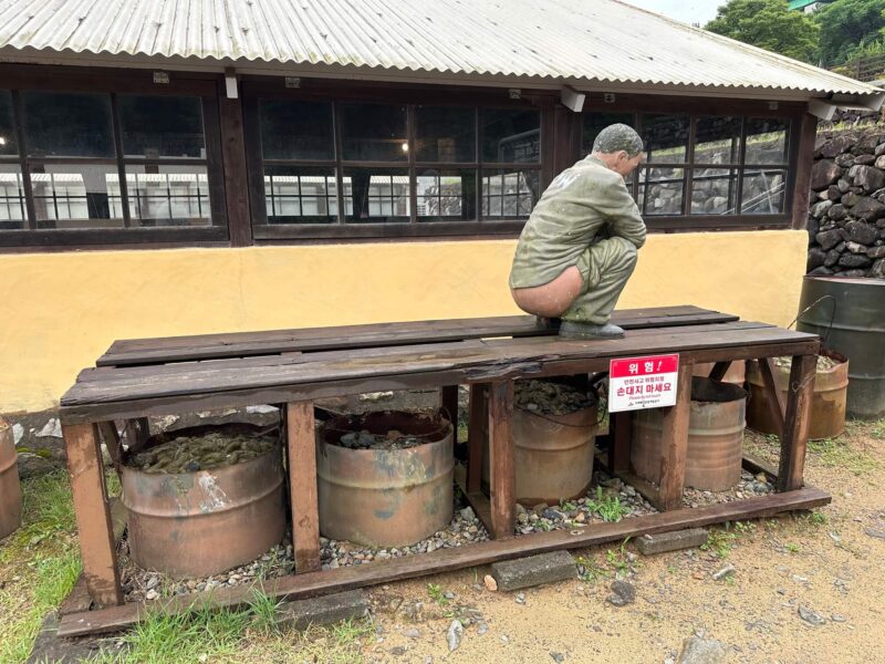 【韓国地方旅行】巨済島(コジェド)おすすめ観光スポット9選（釜山発のツアーも紹介）