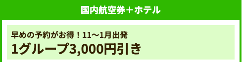 航空券+ホテル(3,000円引き)