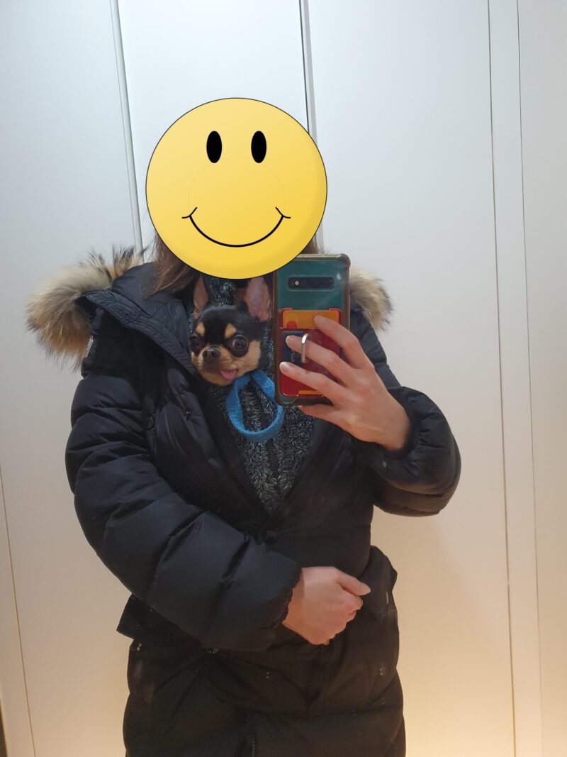 ペディン