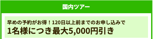 国内ツアー
